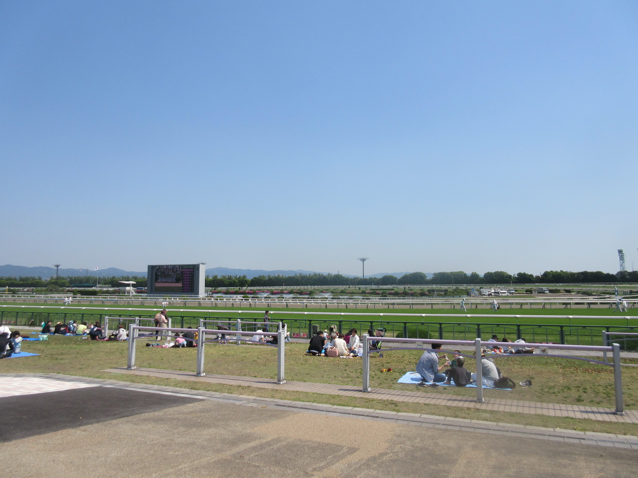 京都競馬場のコース