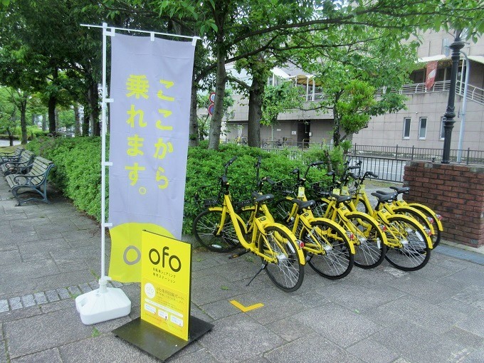 なぎさ公園のofo