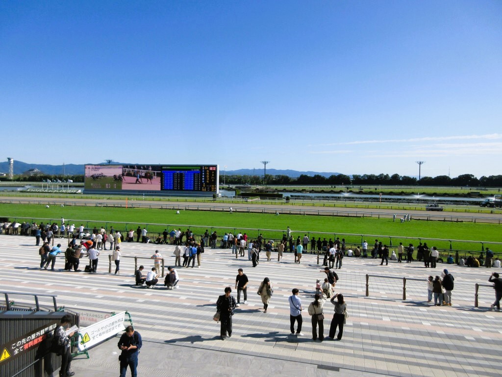 京都競馬場のコース