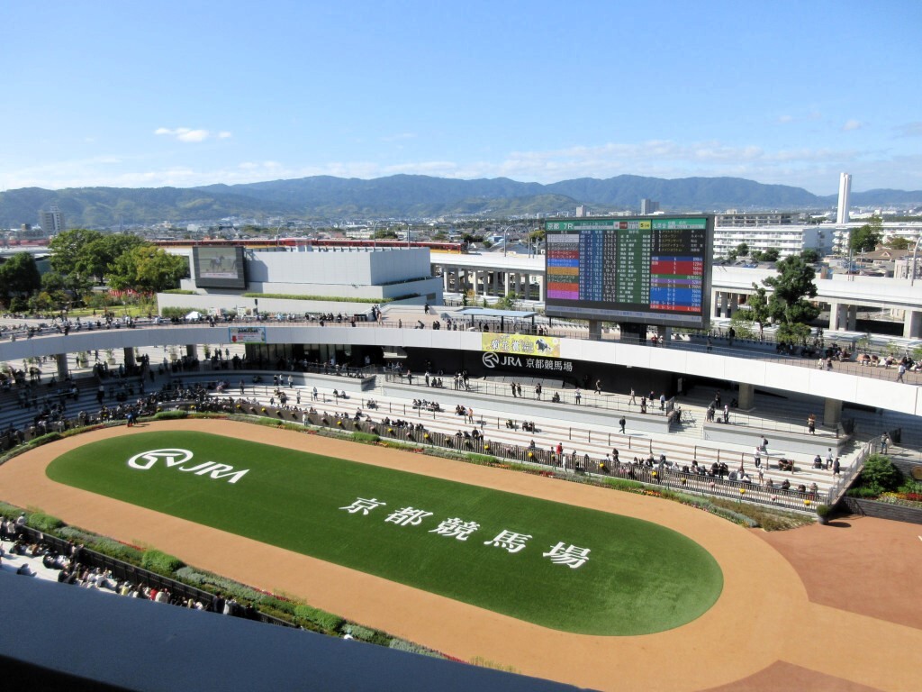 京都競馬場のパドック