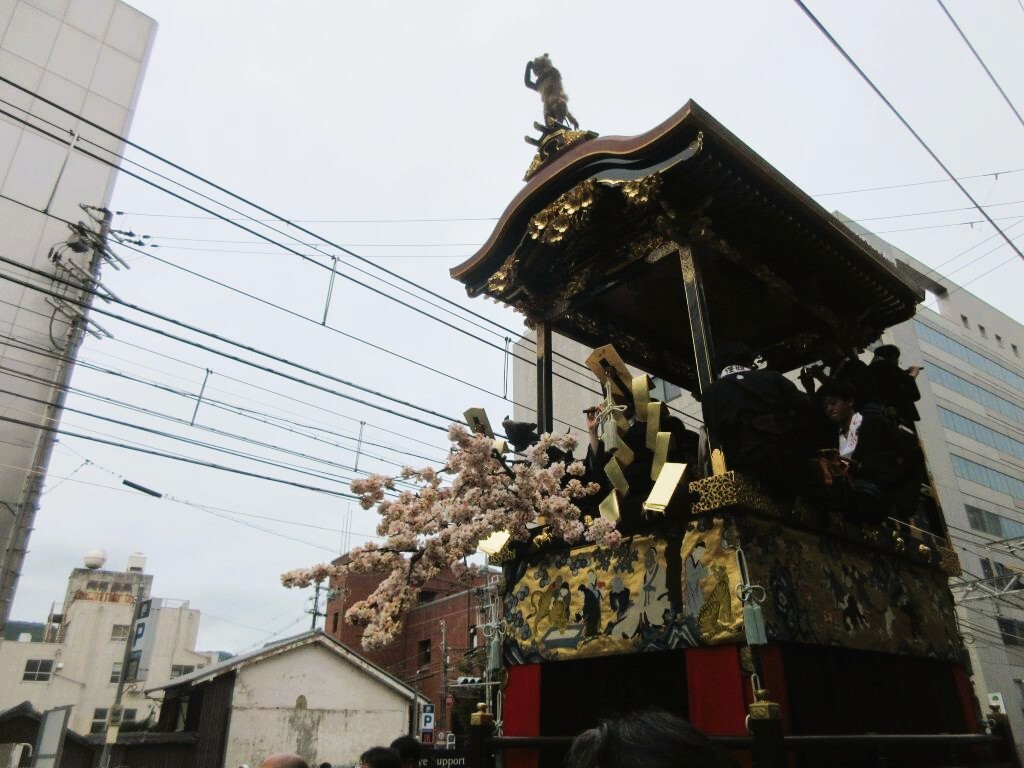西行桜狸山